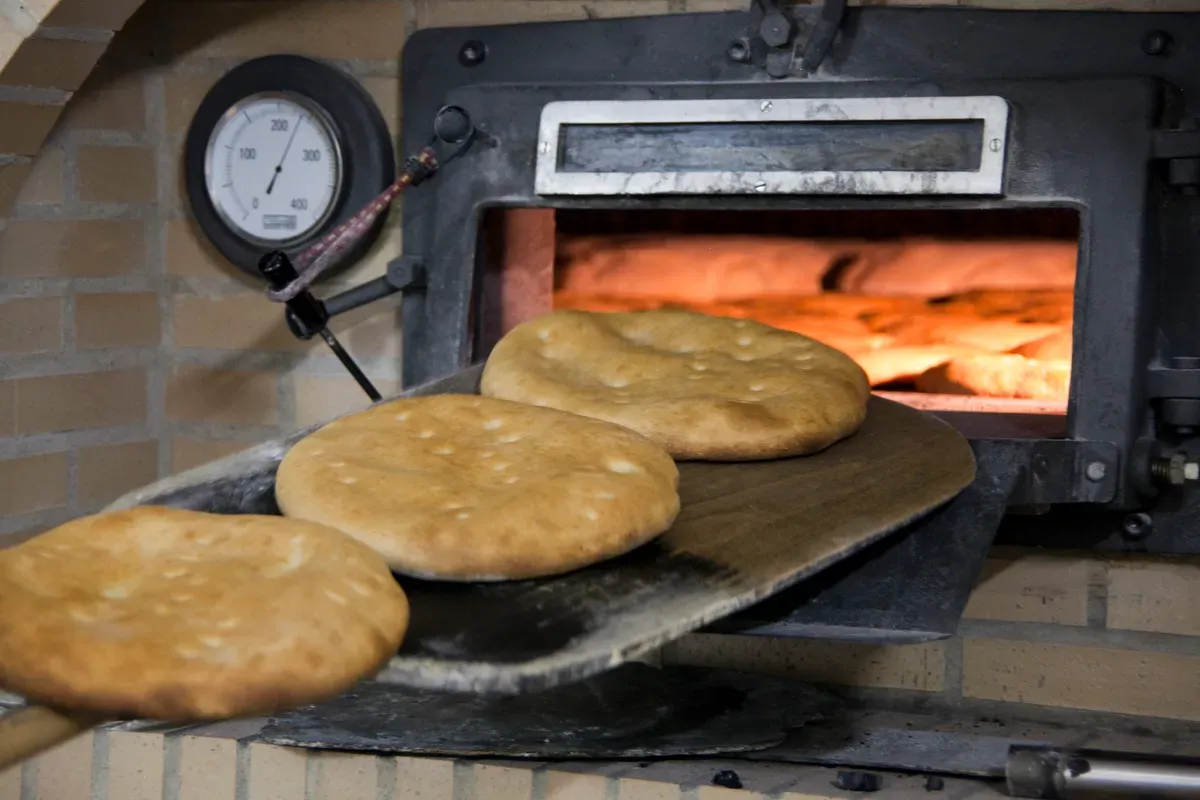 TORTA DE ACEITE