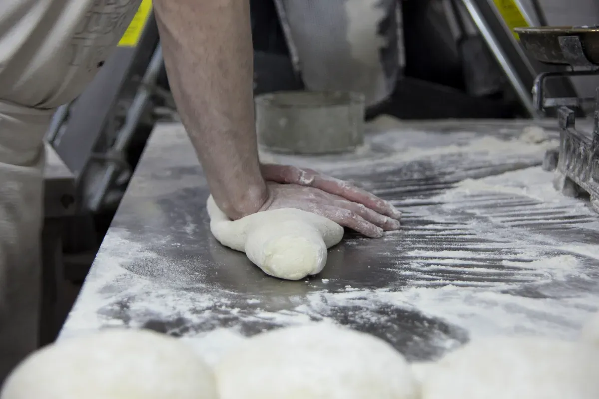 Masa Madre