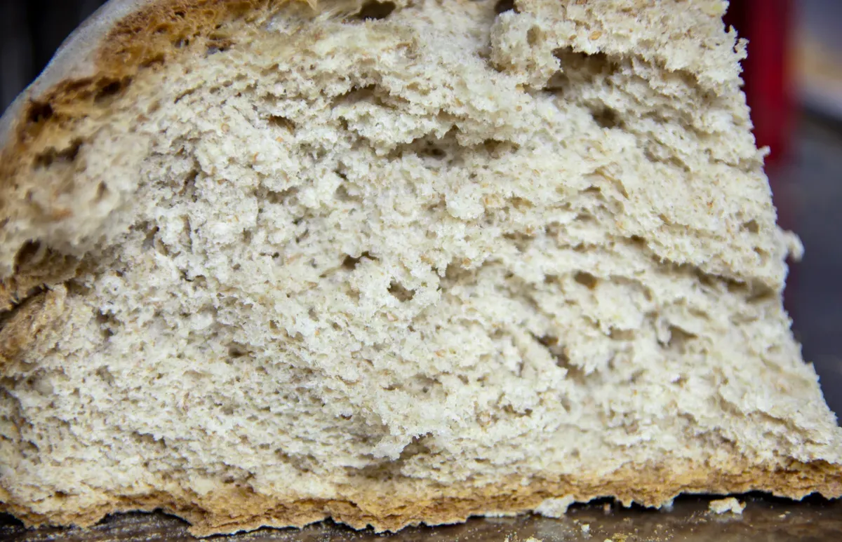 PAN DE CENTENO